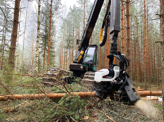AFM Forest